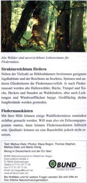 Faltblatt 'Fledermäuse im Wald' (Seite 6)